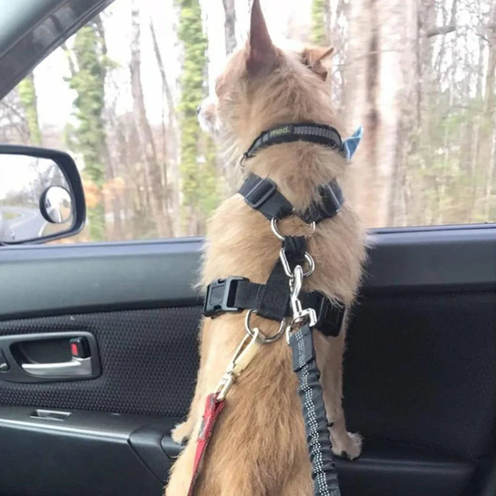 ProPets SecureRide Dog Car Seat Belt™